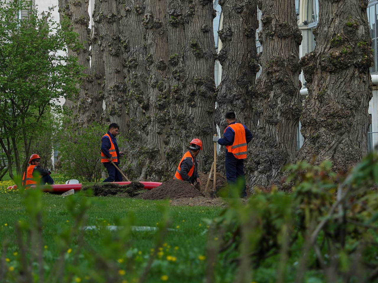 В Госдуме предложили ужесточить правила для въезда в Россию мигрантов В Госдуме предложили ужесточить правила для въезда в Россию мигрантов