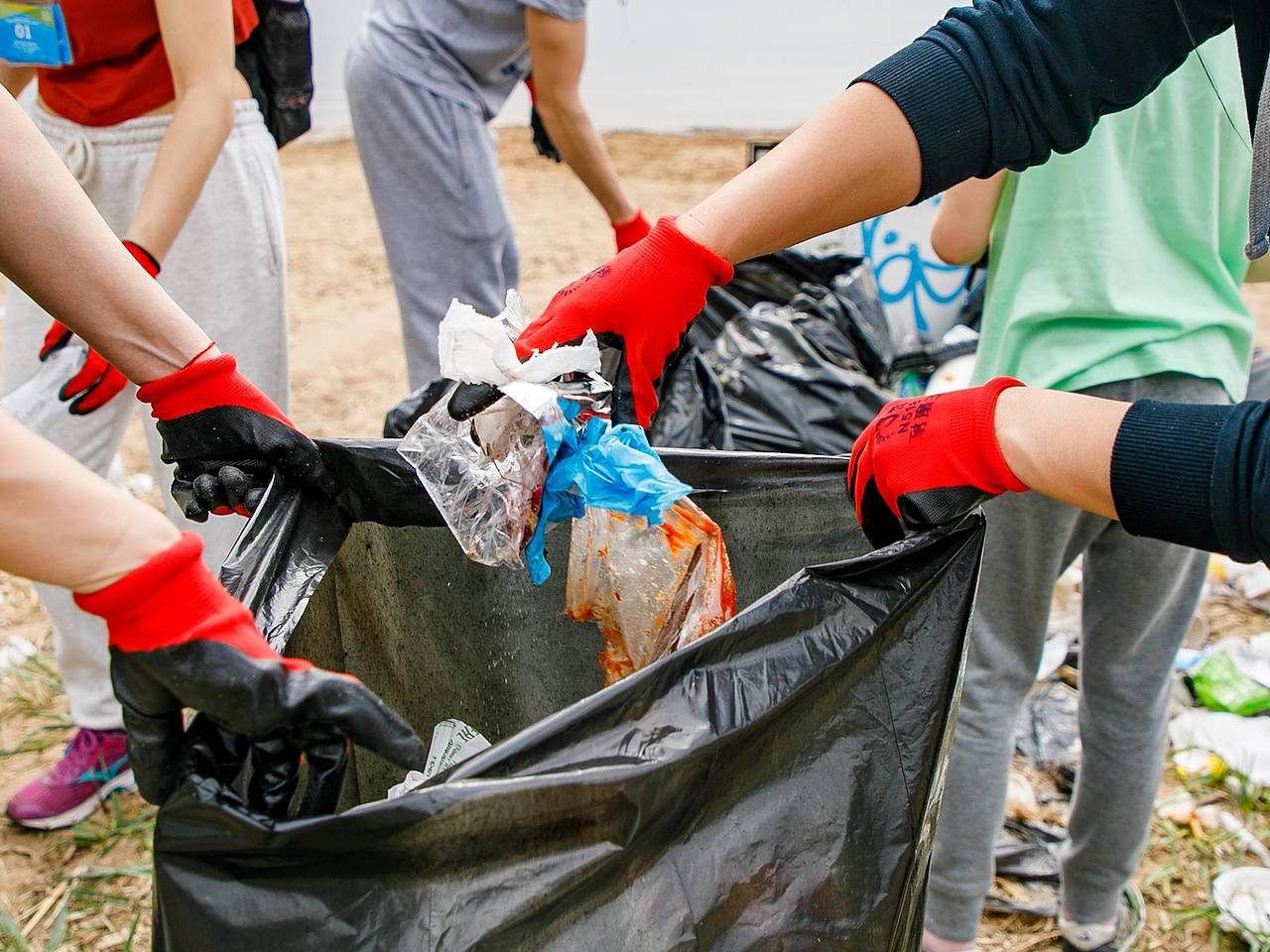В Поморье волонтеры очистили берега озера Среднее и Северной Двины В Поморье волонтеры очистили берега озера Среднее и Северной Двины