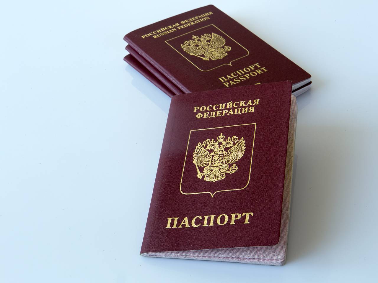 В МВД рассказали осужденным о способах получения гражданство России