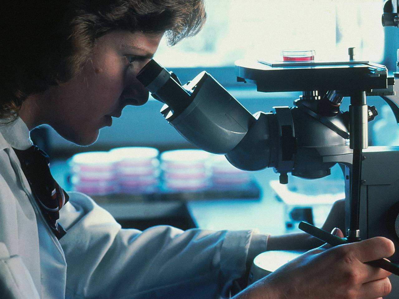 Ученые в России нашли бактерию-пожирателя нефти