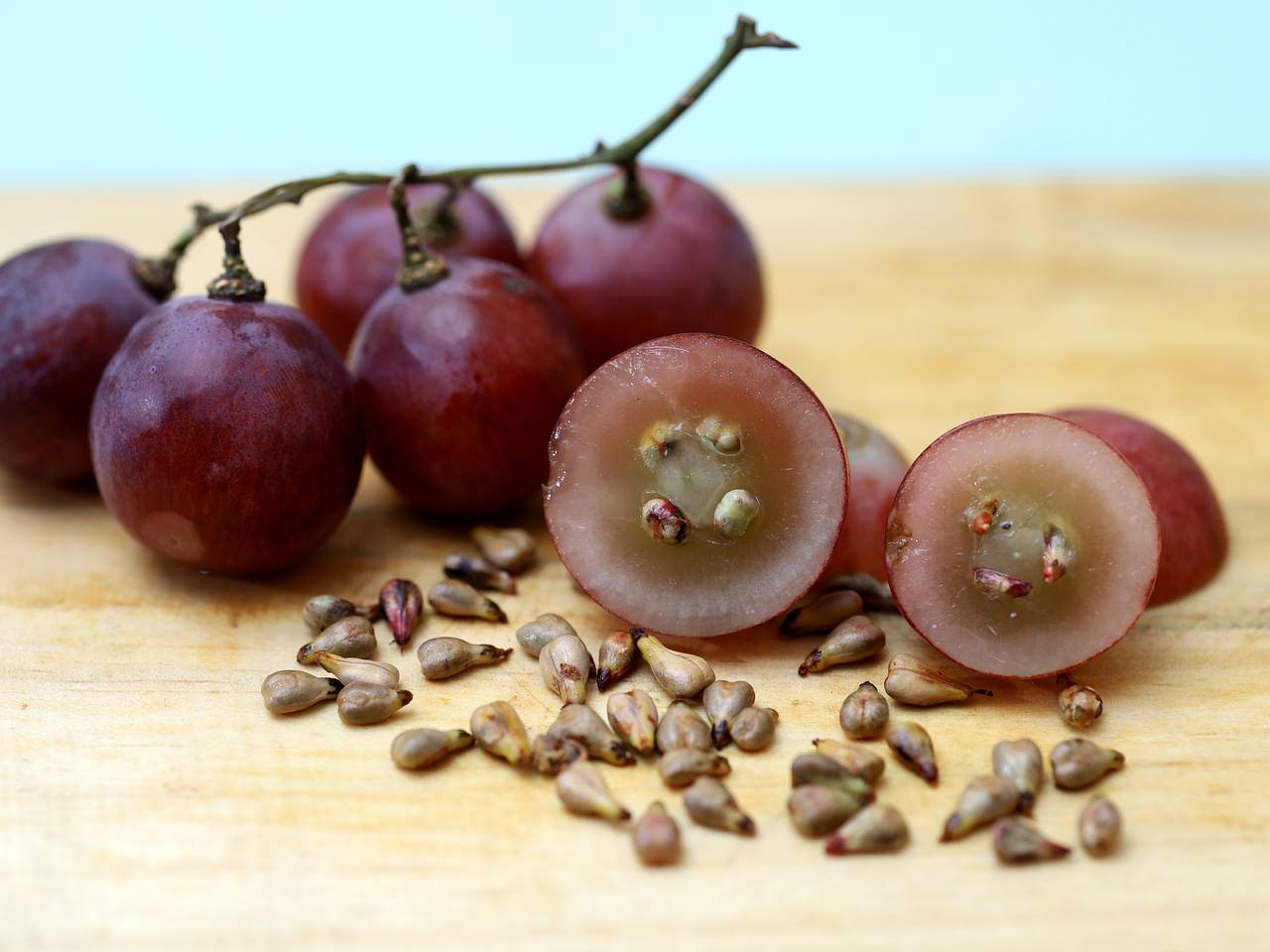 В России вывели полезный антиоксидант из косточки винограда