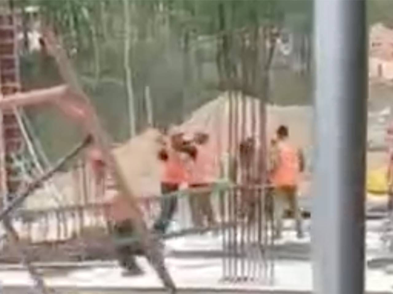 Конфликт рабочих из КНДР с мигрантами из Средней Азии на российской стройке попал на видео