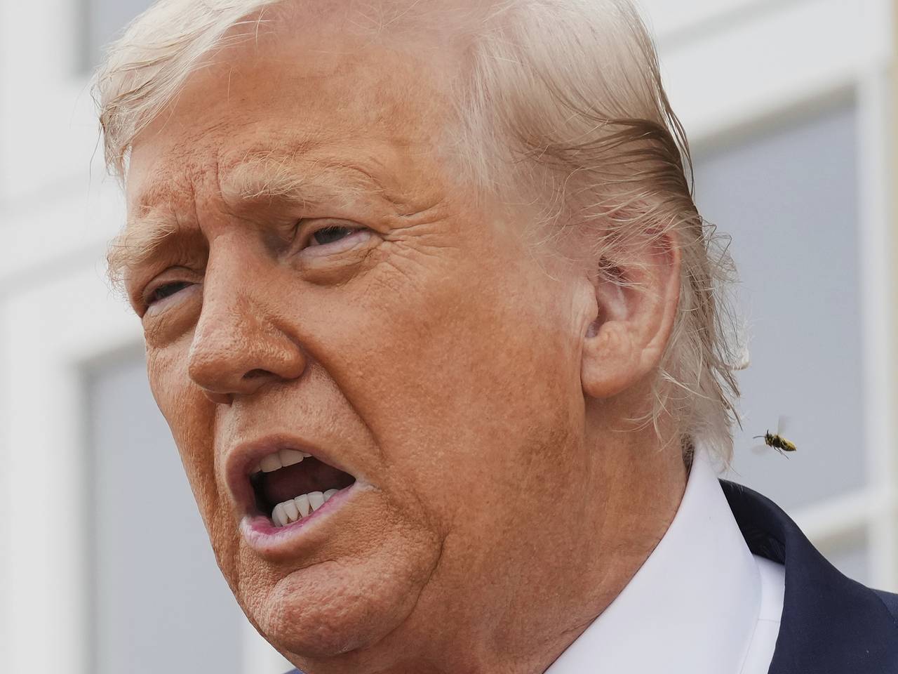 В России ответили на жесткое заявление Трампа с угрозами