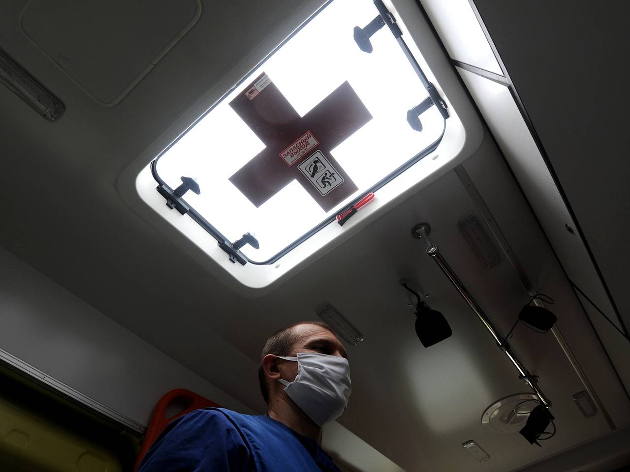 Нападение на россиянку 17 искусавших ее до смерти собак попало на видео