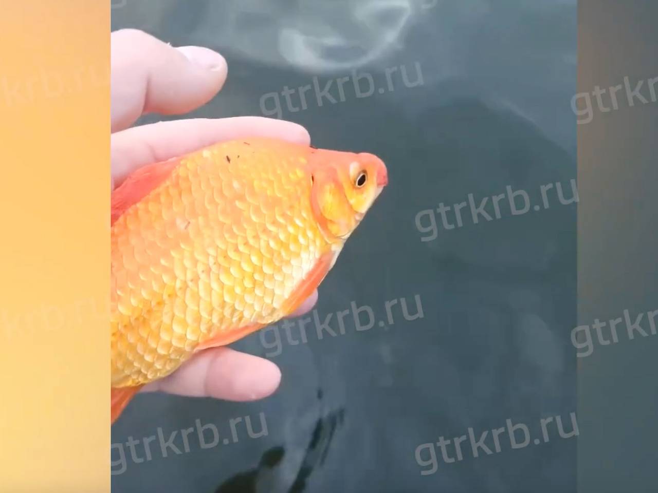 Российский рыбак поймал приносящую удачу рыбу