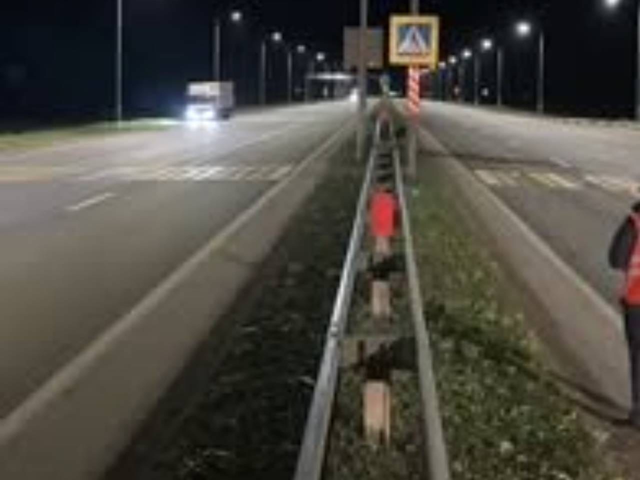 В ГИБДД восхитились перешедшим дорогу по зебре дисциплинированным кабаном