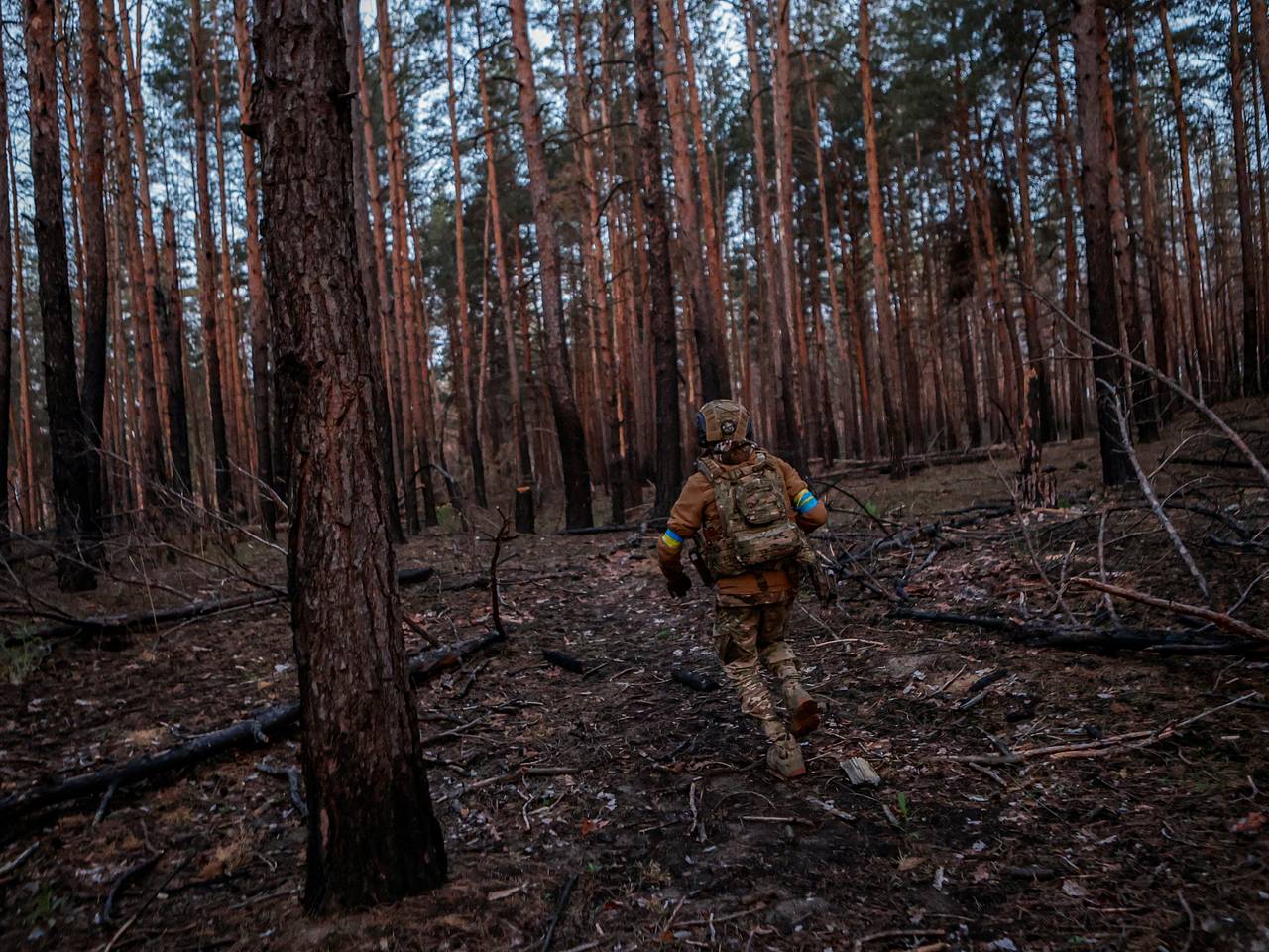 Стало известно о попытке прорыва диверсантов ВСУ в Курскую область