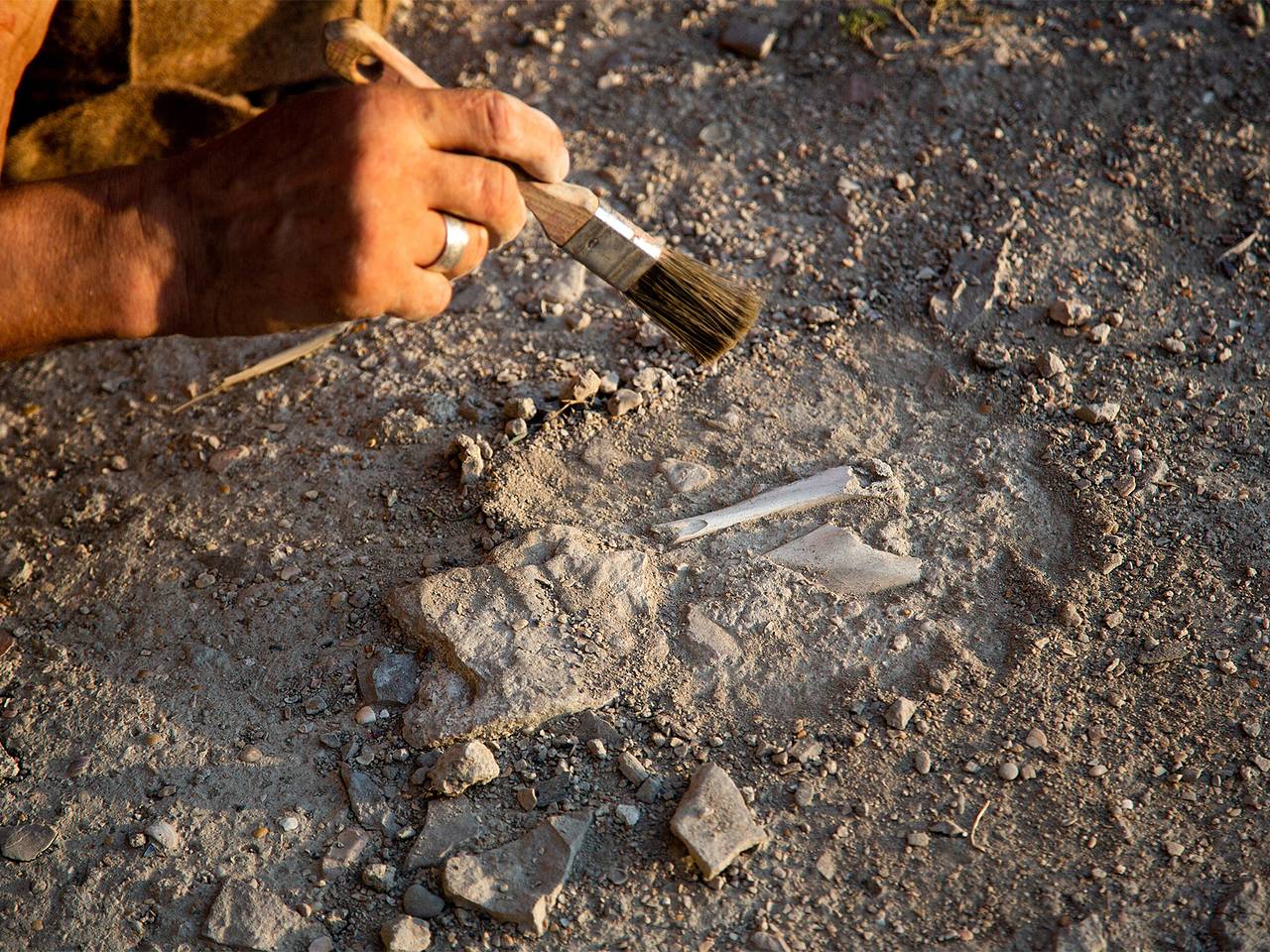 Уникальное погребение «железного подростка» нашли в России