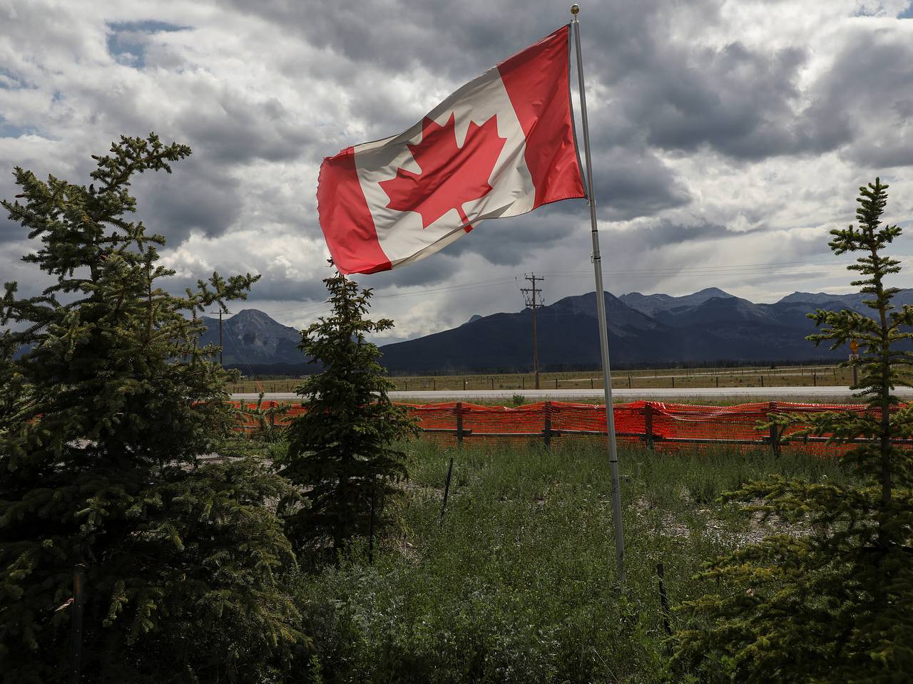 В Канаде уличили украинских исследователей в продвижении антироссийского нарратива