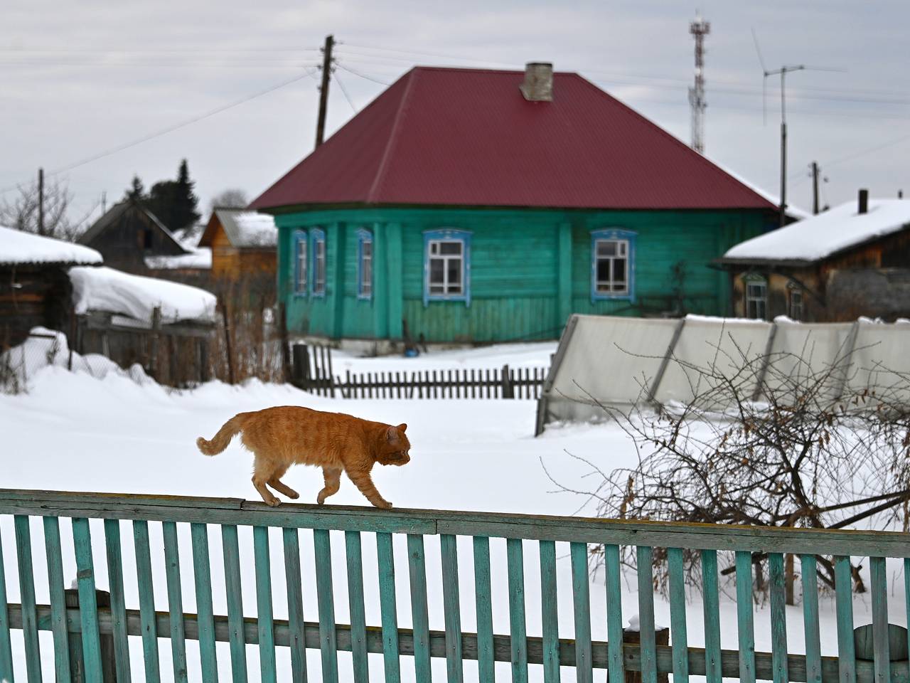 Немец переехал в Россию и научился радоваться простым вещам Немец переехал в Россию и научился радоваться простым вещам