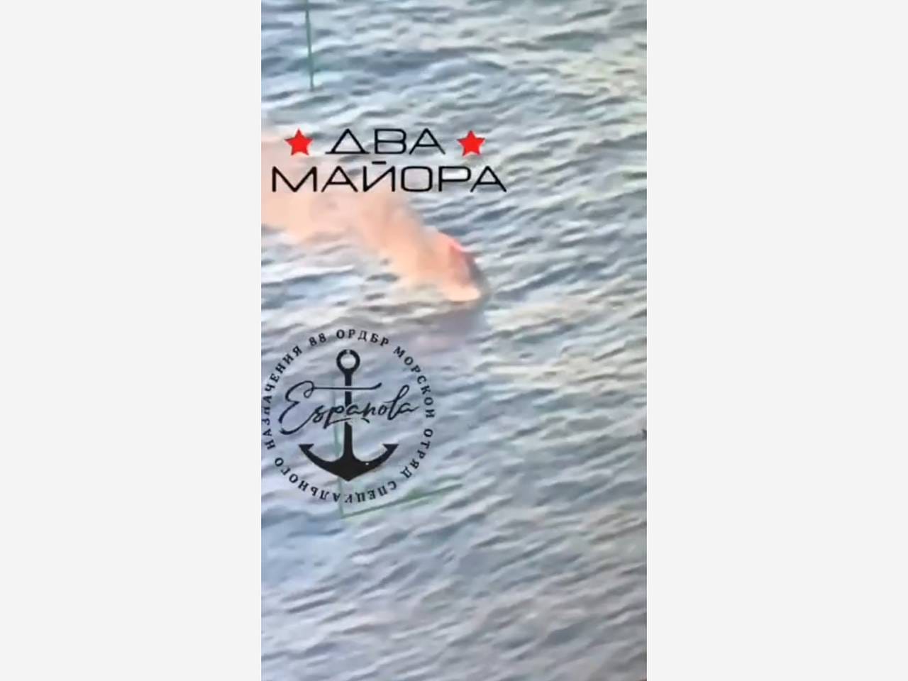 В Минобороны сообщили об уничтожении катера ВСУ в Черном море В Минобороны сообщили об уничтожении катера ВСУ в Черном море