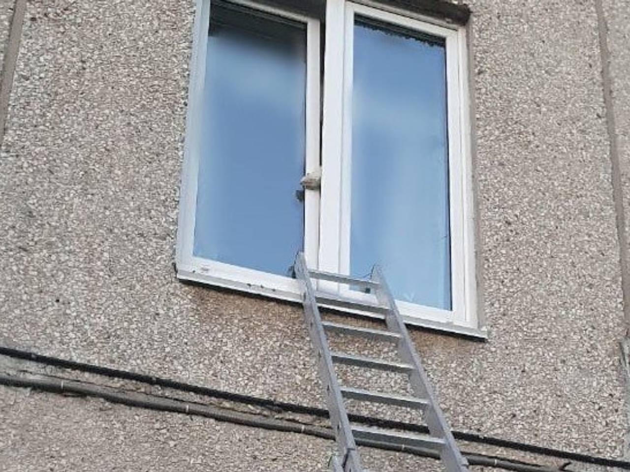 В Уфе спасли застрявшую в окне крысу