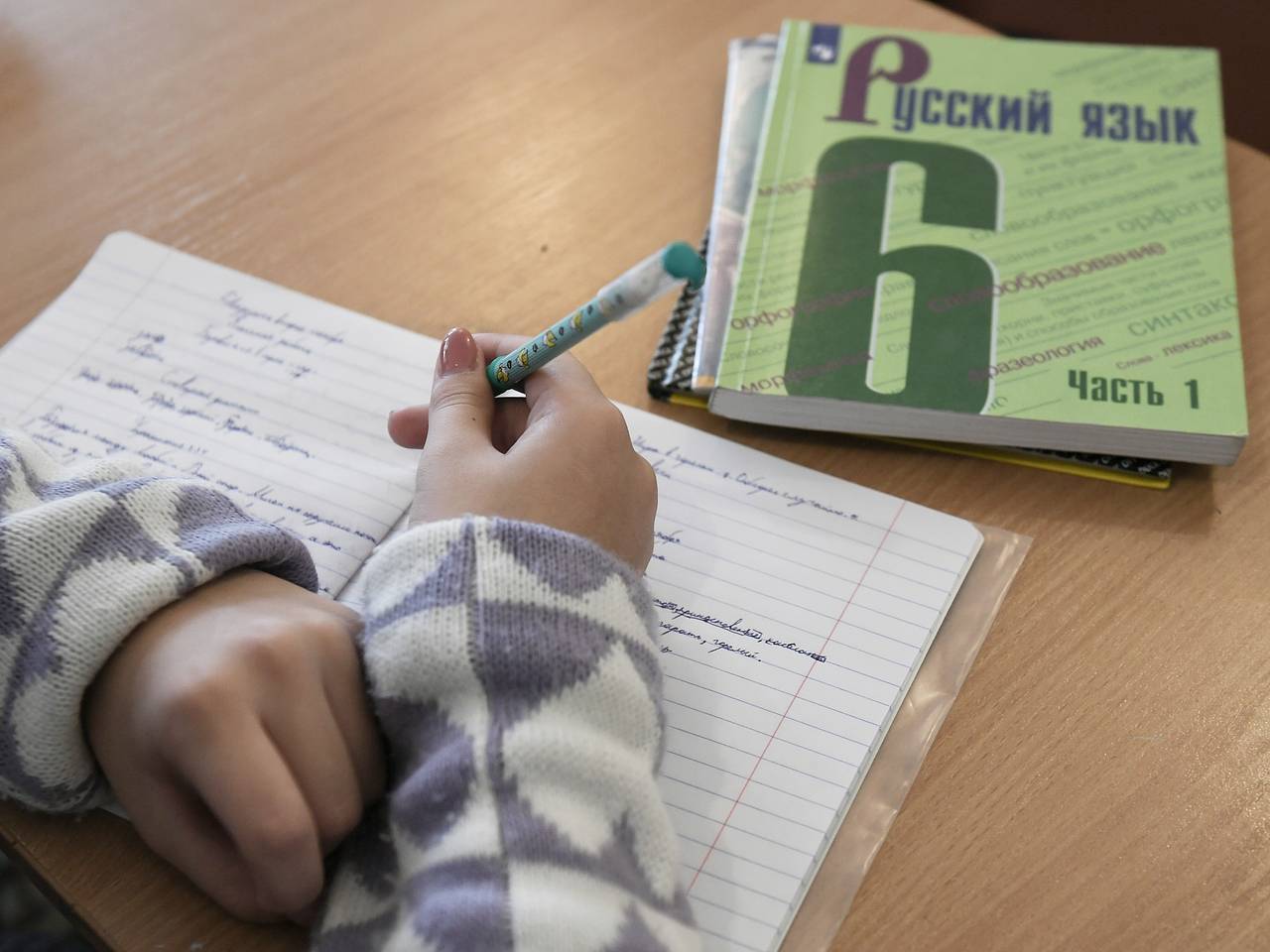 Детей мигрантов предложили тестировать устно на знание русского языка