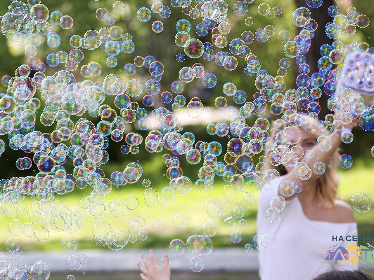 В Мурманской области началась акция «На Севере — лето»