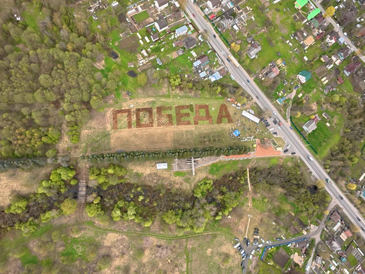 Глава Ленобласти и волонтеры высадили саженцами елей геоглиф «Победа»