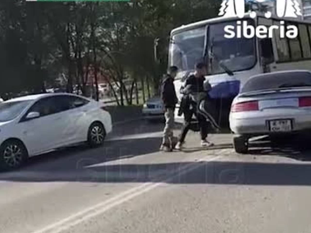 В российском городе водитель иномарки сбил женщину, сбежал в кусты и попал на видео