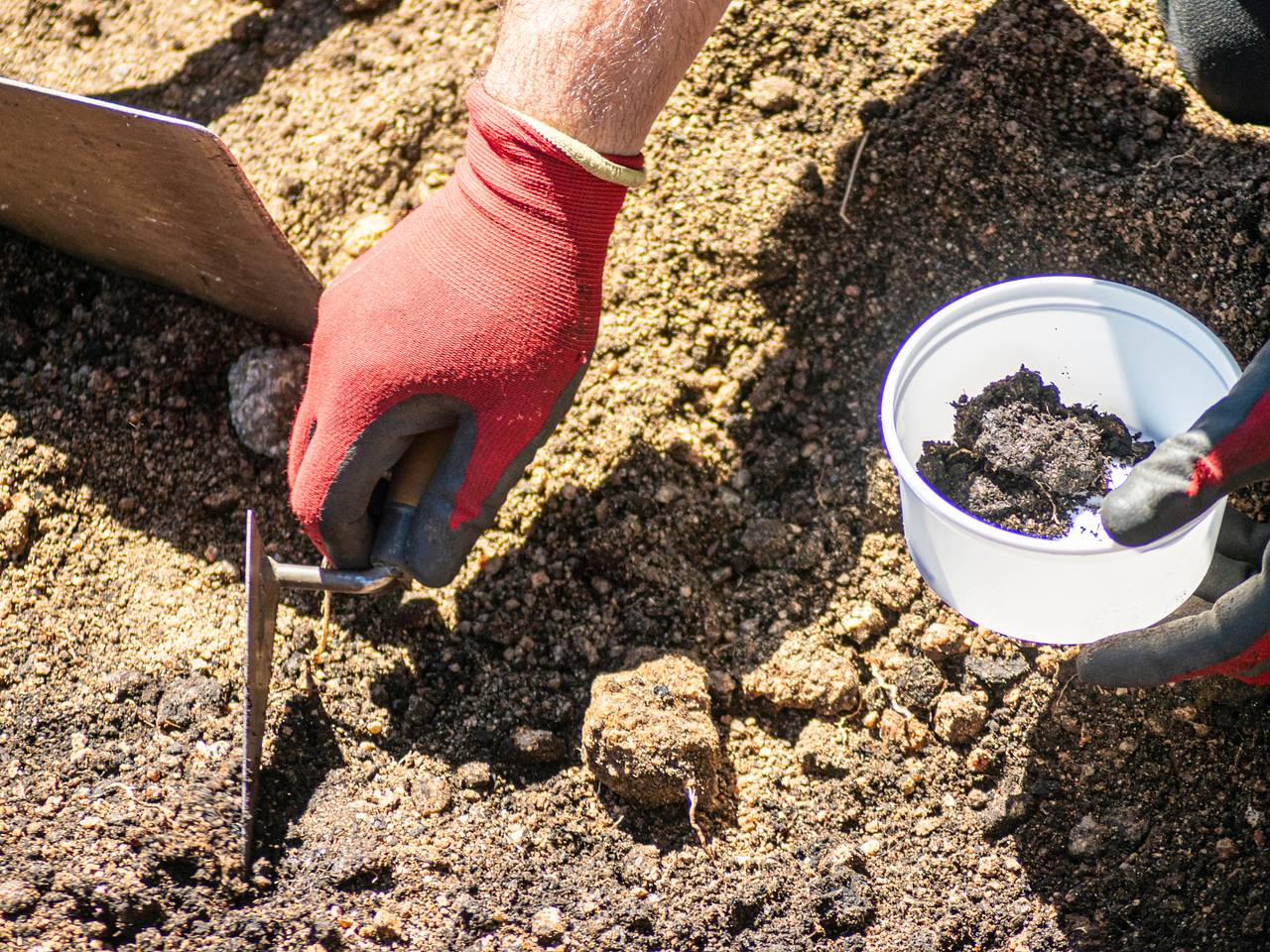 Древний клад нашли в России