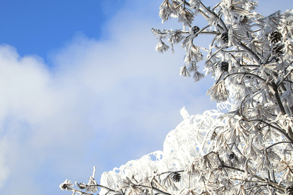 «Аномальный холод»: какая погода ждет новосибирцев на выходных?