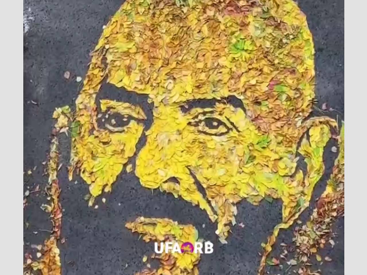 Российская художница выложила портрет Михаила Шуфутинского из листьев Российская художница выложила портрет Михаила Шуфутинского из листьев