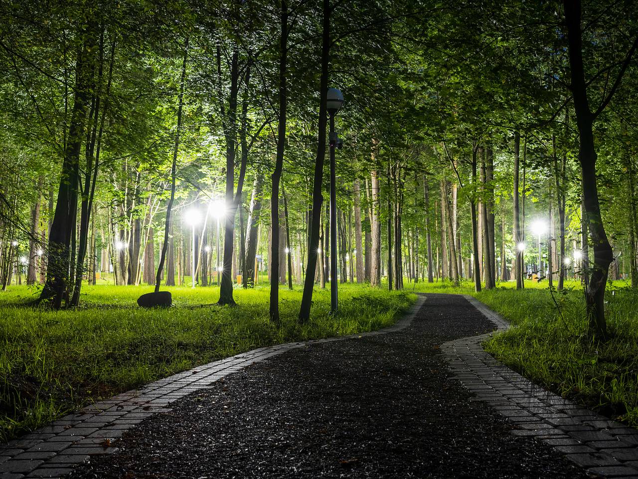 В Подмосковье назвали число отремонтированных «народных троп»