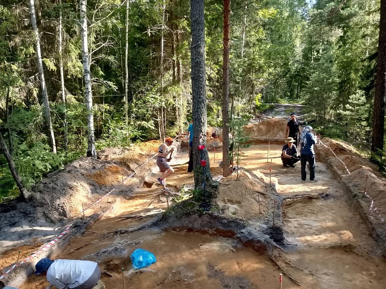 Археологи нашли древние марийские захоронения в нижегородских лесах