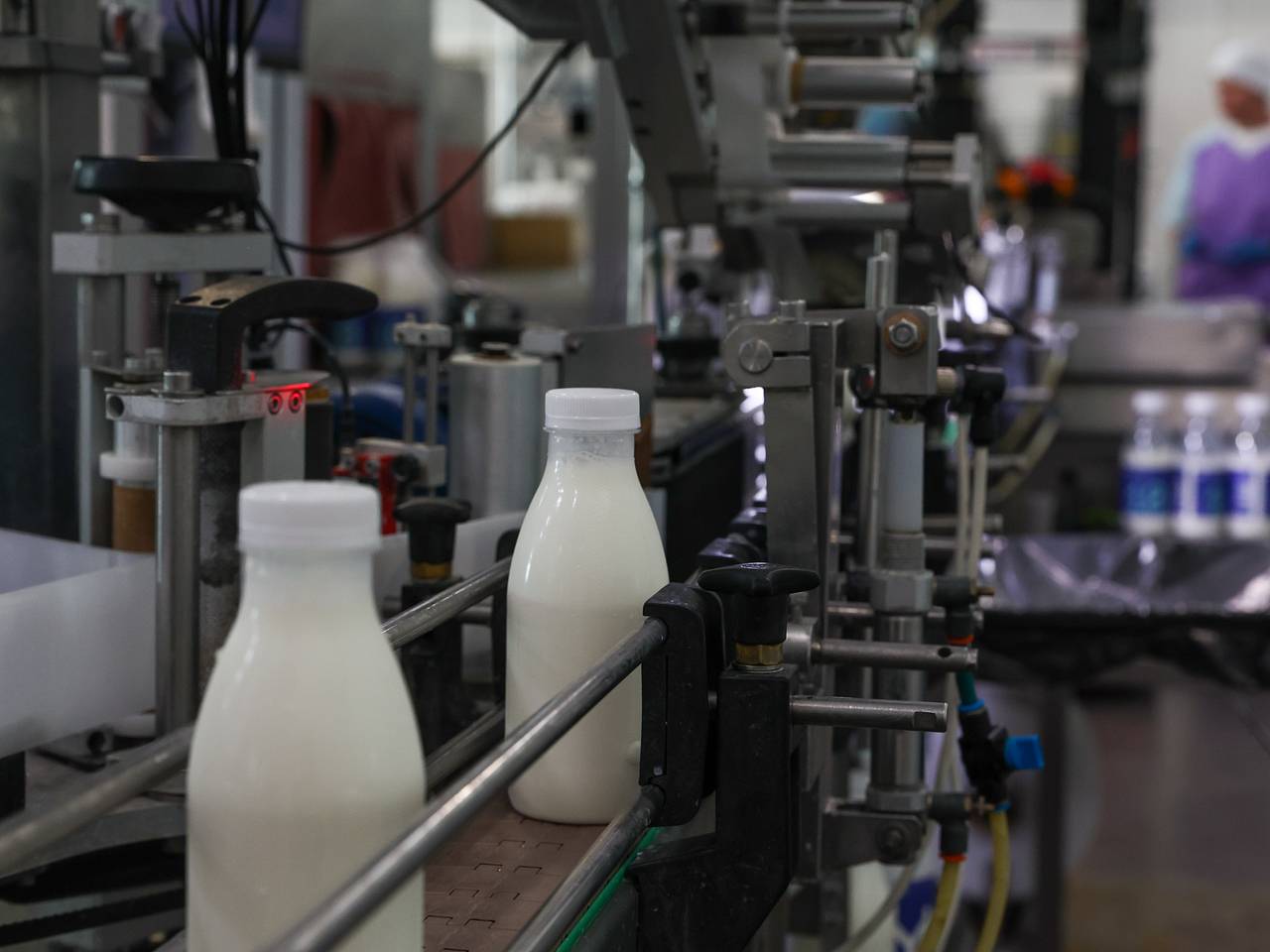 Сельхозпредприятиям Красноярского края возместят часть затрат на переработку молока