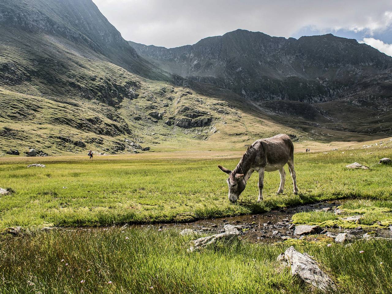 Упавшего со скалы горного пленника чудом спасли в России