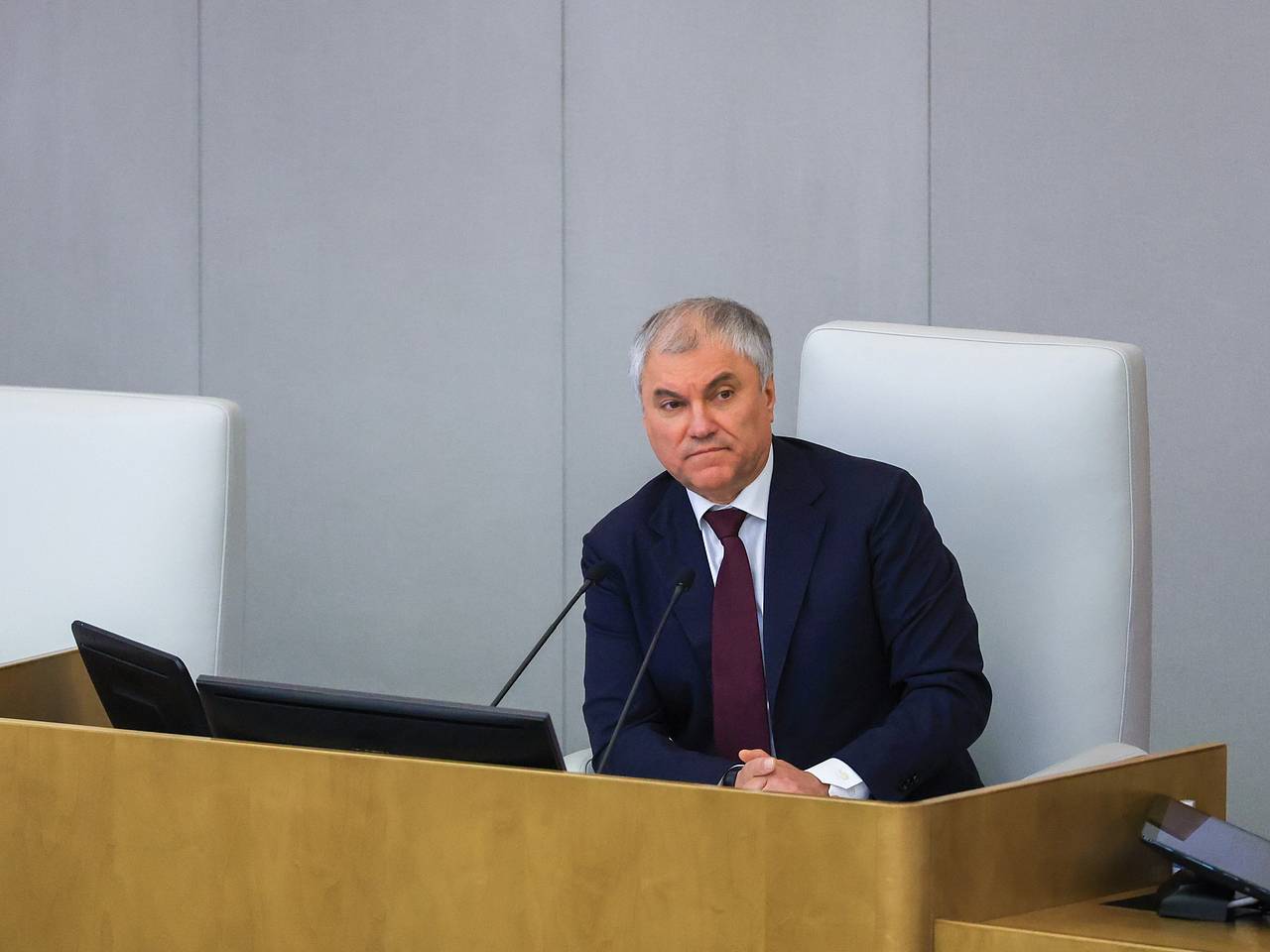 Володин высказался о расширении оснований для лишения приобретенного гражданства России