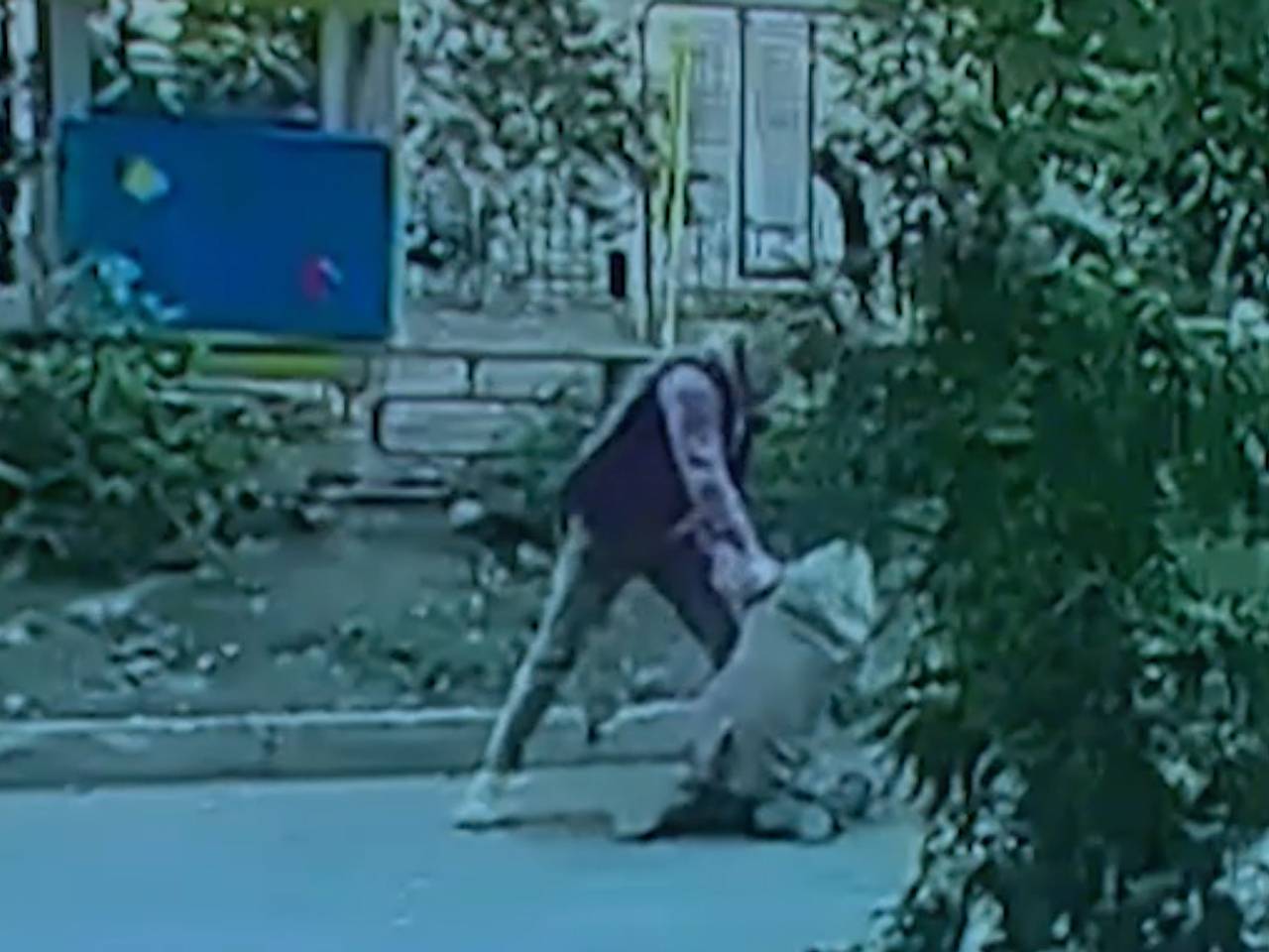 Россиянин побежал за грабителем, повалил его на землю и вернул девочке украденный телефон