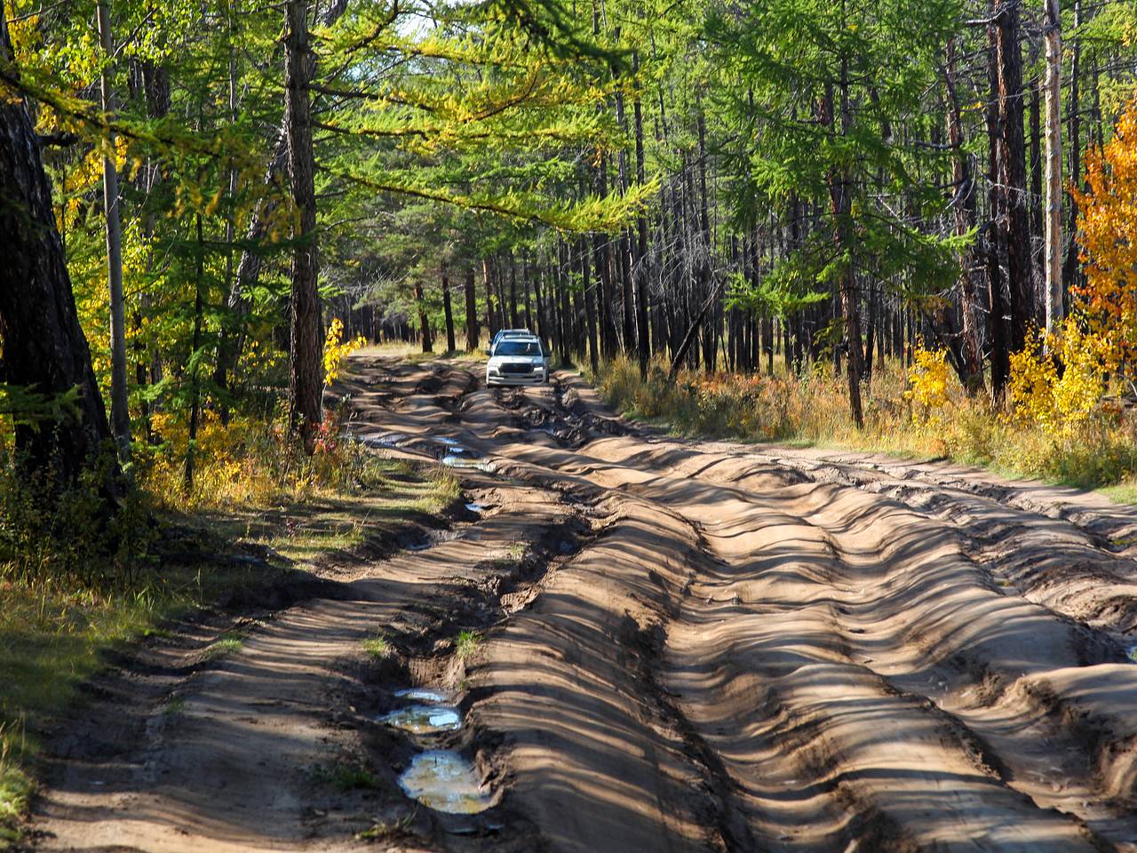 Россияне массово заинтересовались турами в дикую природу