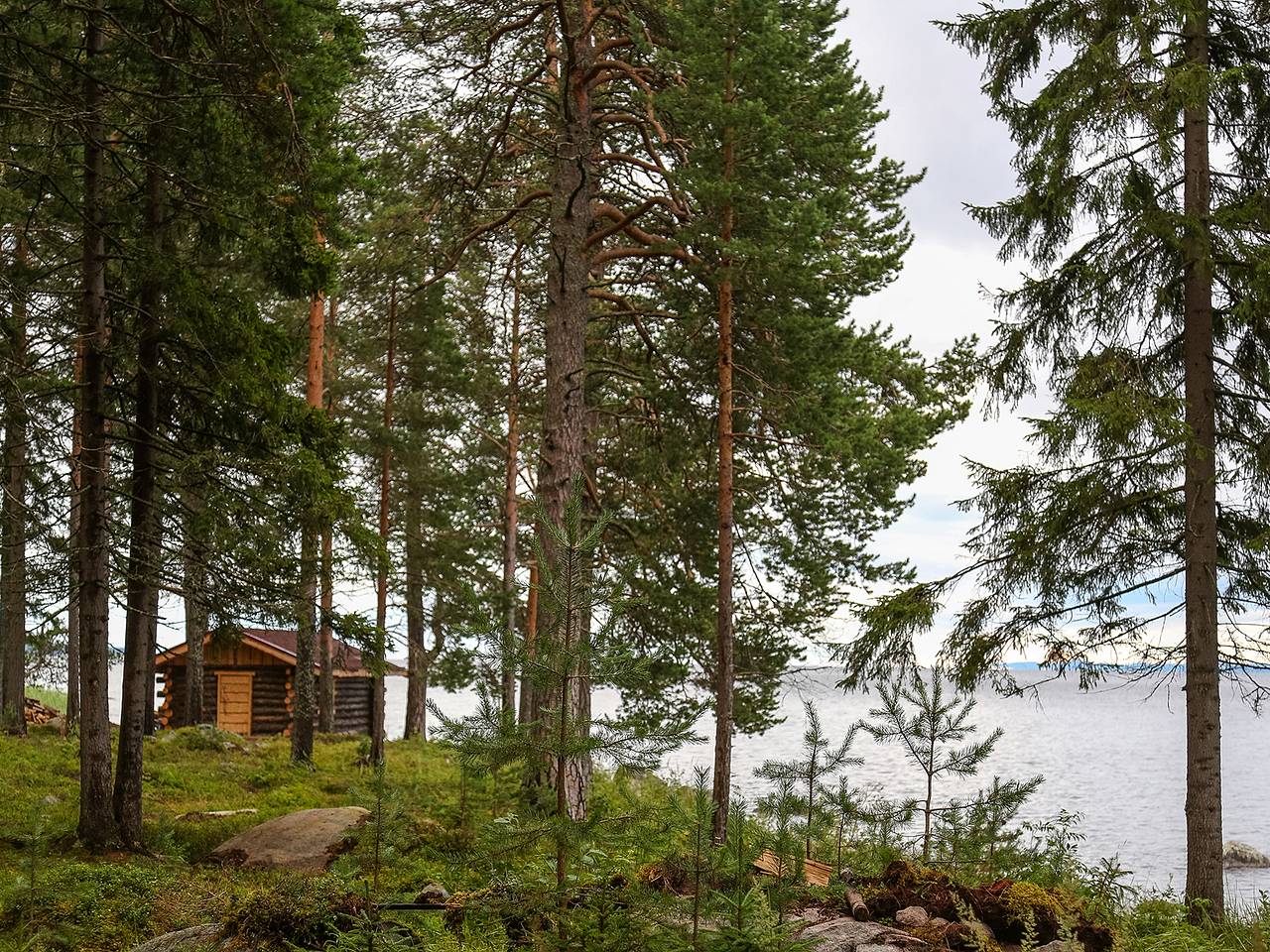 Россияне захотели отправиться в кинопутешествие по стране