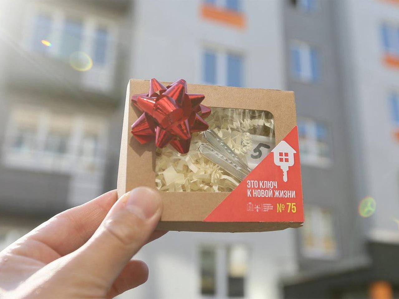 В Подмосковье расселили аварийное жилье по нацпроекту «Инфраструктура для жизни»