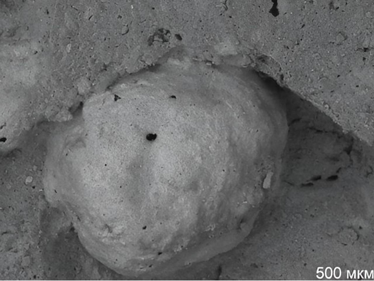 Нефтяные отходы превратили в настоящую керамику в России Нефтяные отходы превратили в настоящую керамику в России