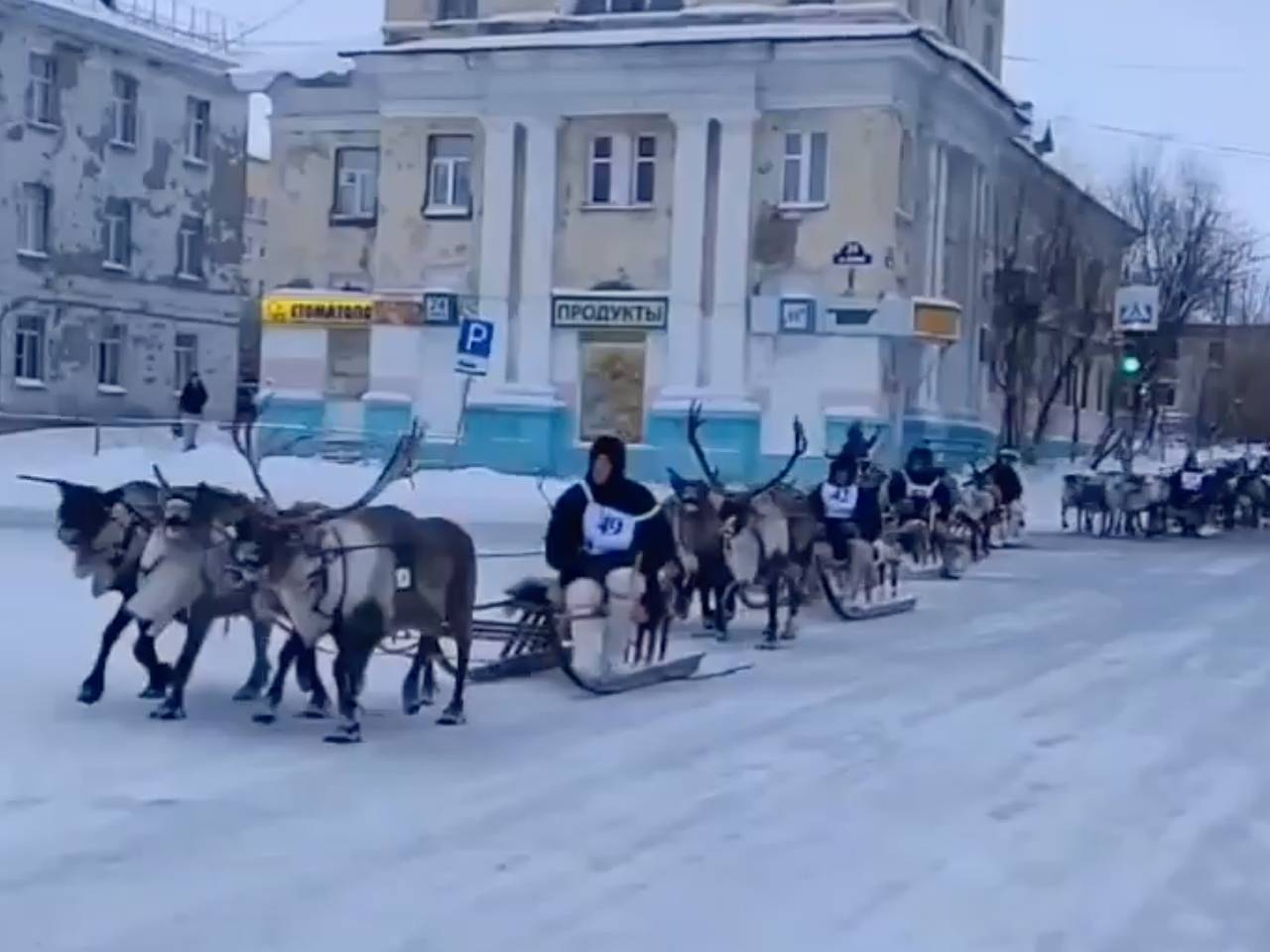 Мчащихся по улицам российского города оленей сняли на видео