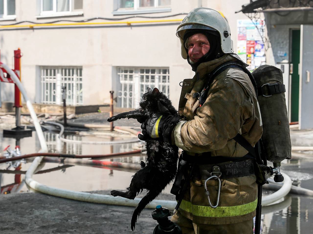 В Чебоксарах пожарный вынес кота из сгоревшей квартиры и вернул его к жизни В Чебоксарах пожарный вынес кота из сгоревшей квартиры и вернул его к жизни