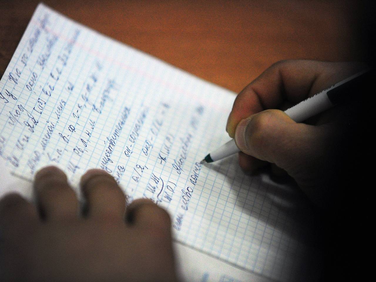 В российском городе все допущенные до теста дети мигрантов провалили экзамен по русскому В российском городе все допущенные до теста дети мигрантов провалили экзамен по русскому