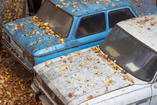 Мэрию города Новосибирска обязали эвакуировать брошенные автомобили