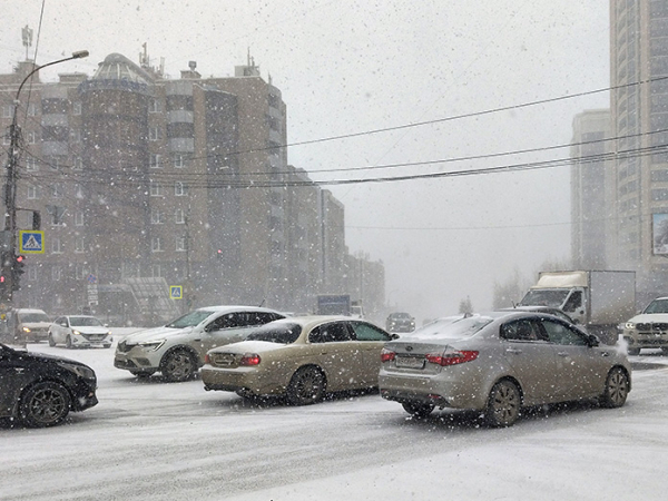 Новосибирскую область ожидают метель и заморозки