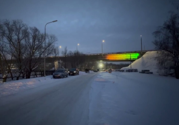 Омичам показали варианты архитектурной подсветки Ленинградского моста