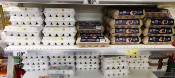 Откуда и почём продаются сегодня яйца в Новосибирске?