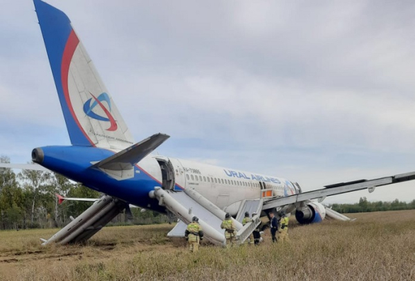 Росавиация обнаружила в расследовании аварийной посадки самолета под Новосибирском полтора десятка ошибок