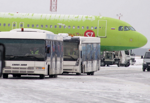 S7 Airlines возобновила рейсы в Баку из Новосибирска