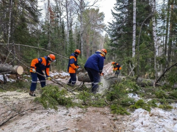 Ущерб от урагана в Красноярском крае оценили в 67,8 млн рублей