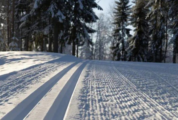 В Новосибирске появится новая лыжная трасса