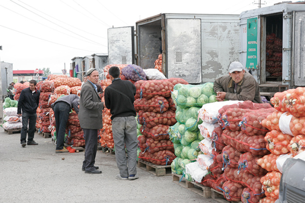 В Новосибирской области мигрантам хотят запретить работать в торговле и таксоперевозках