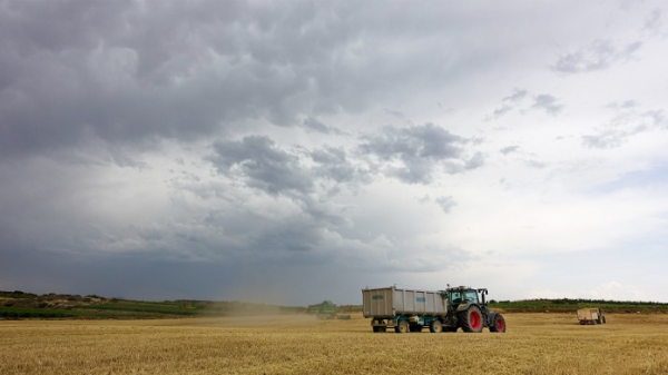 В Новосибирской области за 2023 год упало производство сельхозпродукции